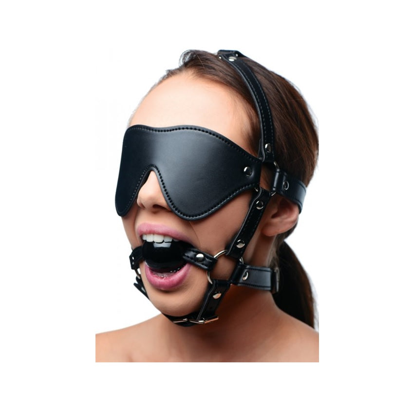 Strict Blindfold Harness And Ball Gag