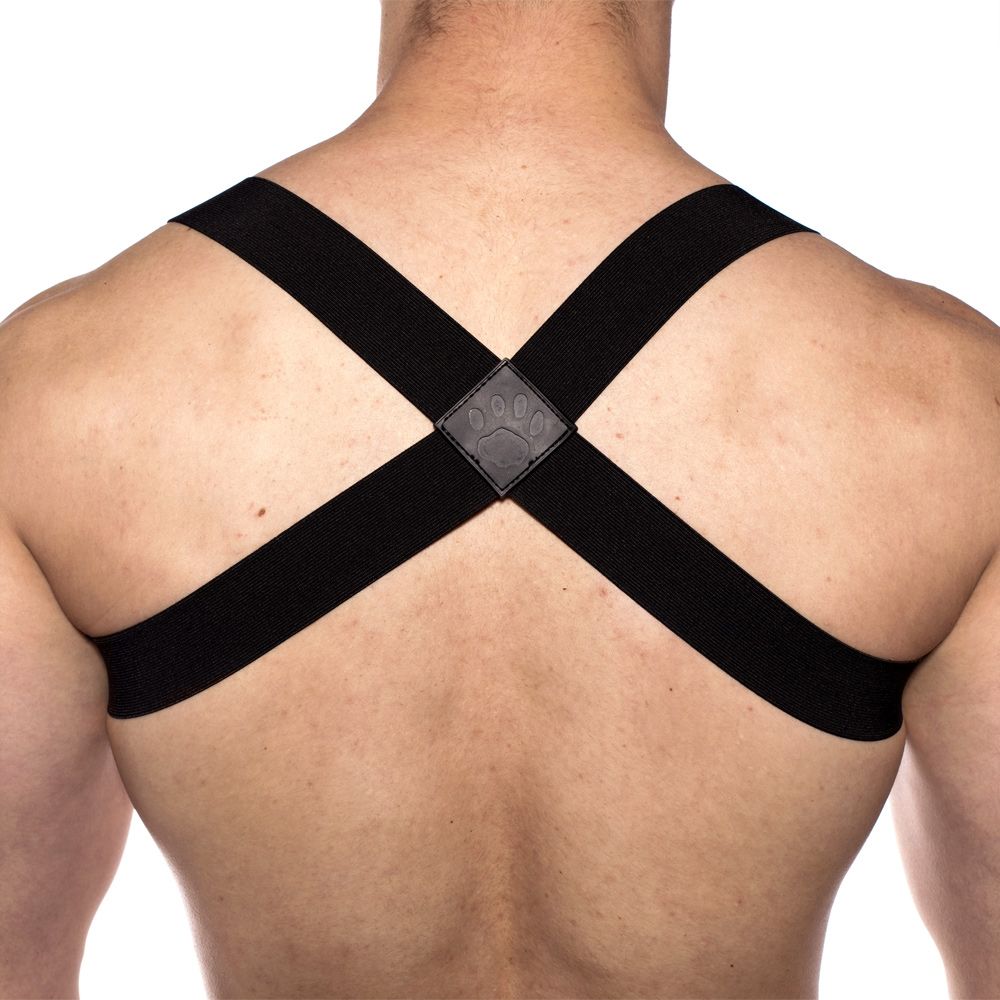 Prowler RED Sports Harness Black