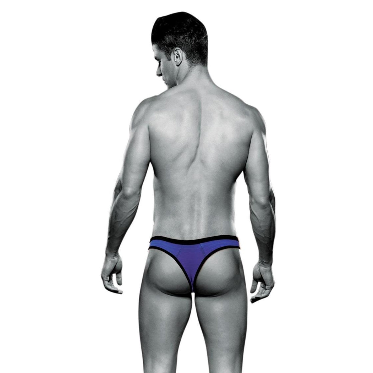 ENVY BAD BOY THONG - PURPLE - S/M