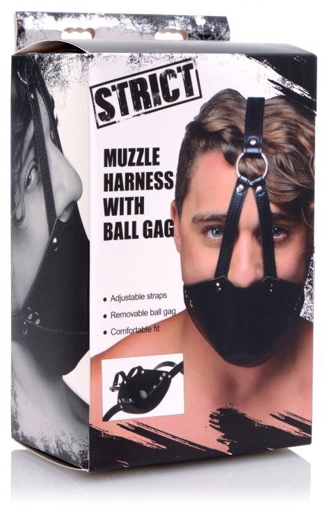 Mouth Harness with Ball Gag