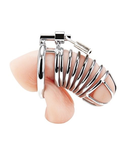 Deluxe Chastity Cage Silver