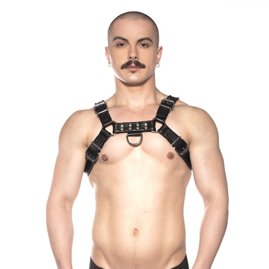 Prowler RED Bull Harness Black Large