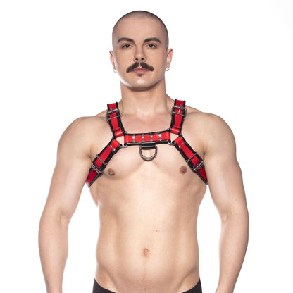 Prowler RED Bull Harness Black/Red Large