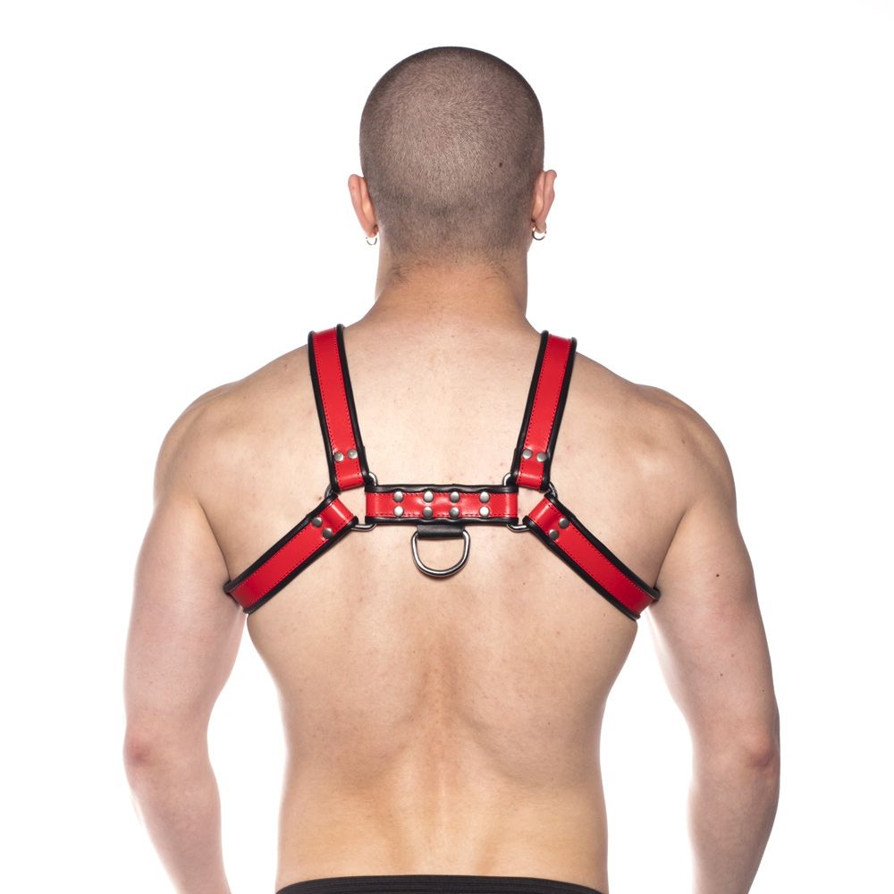 Prowler RED Bull Harness Black/Red Large