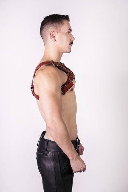 Prowler RED Butch Harness Brown/Brass Small