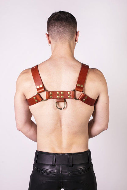 Prowler RED Butch Harness Brown/Brass Small