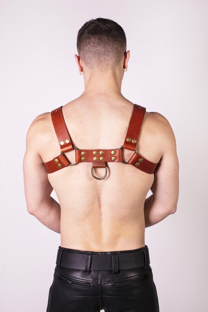 Prowler RED Butch Harness Brown Brass XL