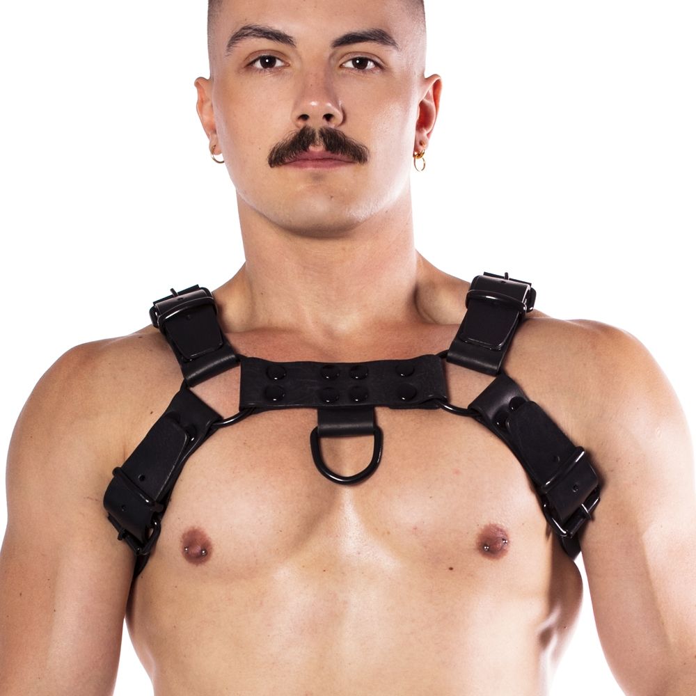 Prowler RED Noir Harness Premium Black XL